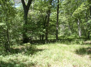 0 Tippy Dam Rd, Wellston, MI 49689