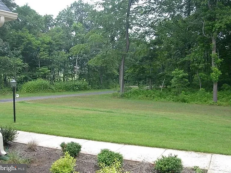 12777 Picnic Woods Rd — Photo 12