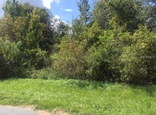 Green Swamp Rd, Clermont, FL 34714