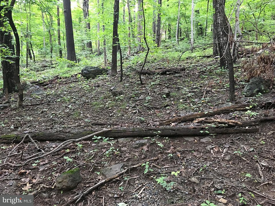 2nd image of Dogwood Tree Dr