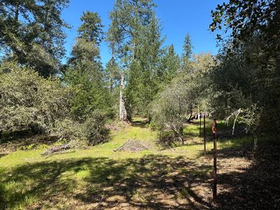 0 Hidden Glen Dr, Scotts Valley, CA, 95066