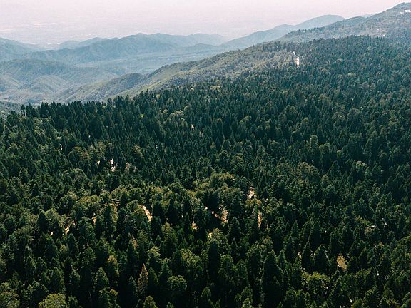 3rd image of 0 Blue Ridge Dr