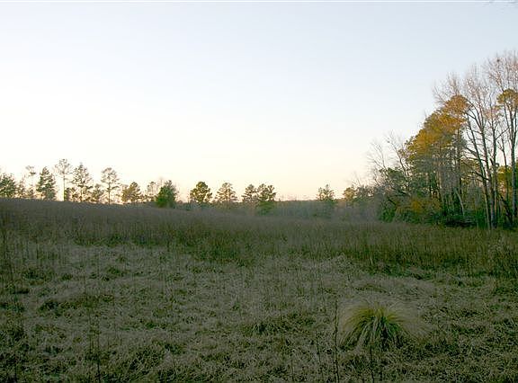 2nd image of TBD Mcintosh Road LOT Tract 11