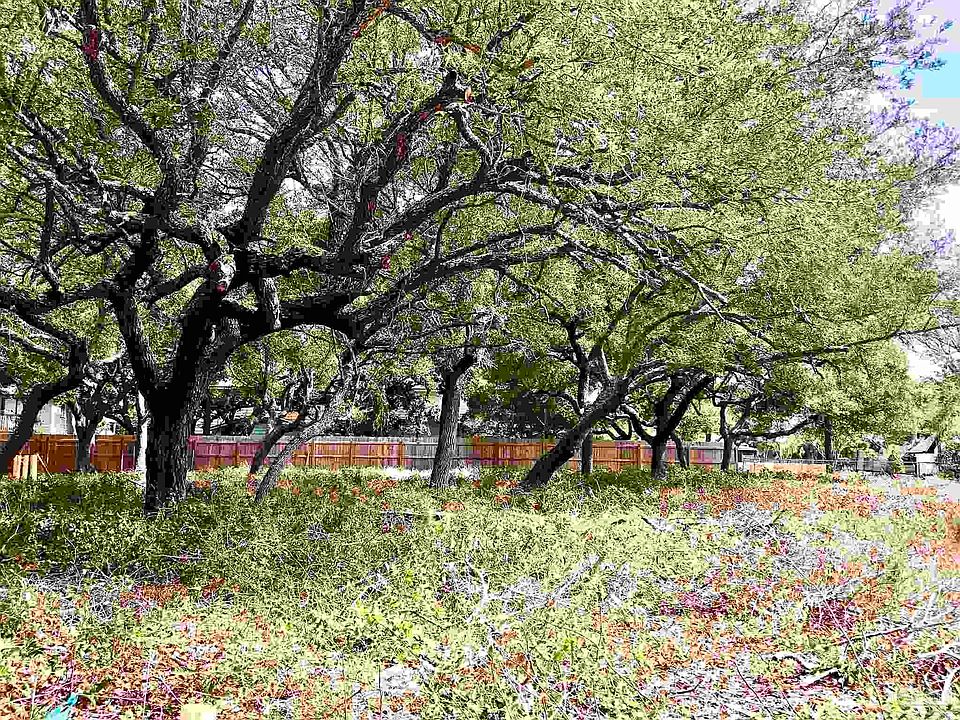 1st image of 5700 Blk Fair Oak Dr Lot 7