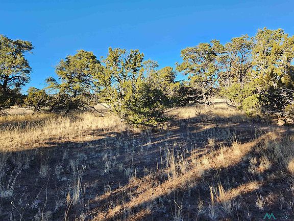 4th image of Squaw Pass