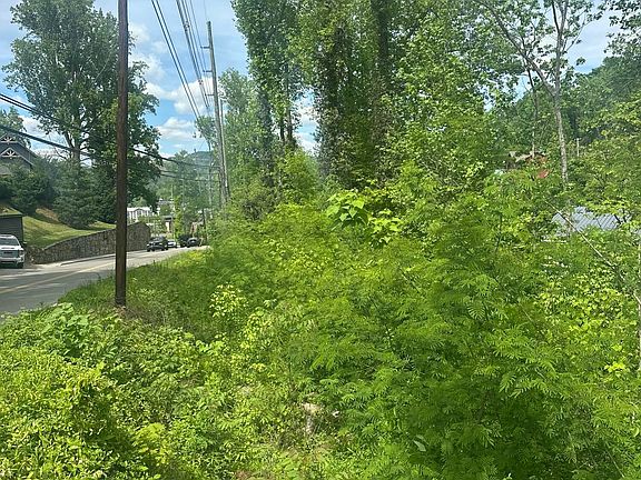 2nd image of 519 Cherokee Orchard Rd