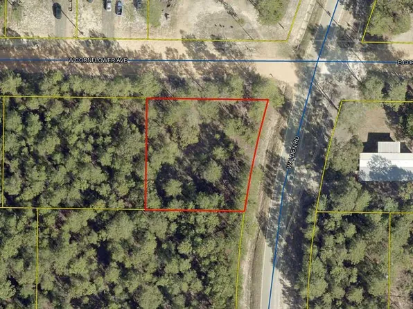 8 W Cornflower Ave, Defuniak Springs, FL 32433