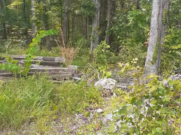 0 Comanche Dr, Cub Run, KY 42729