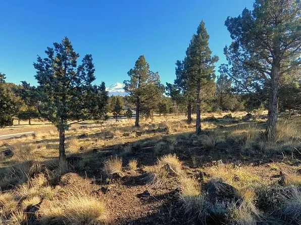 Mountain Wood Dr, Weed, CA 96094