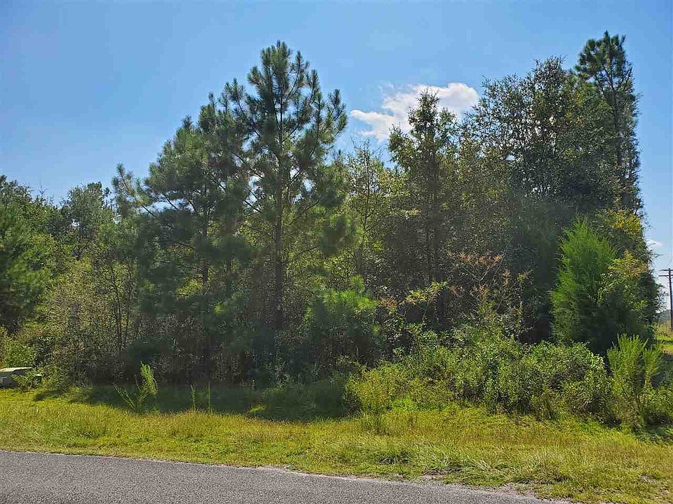 2nd image of Savannah Forest Cir