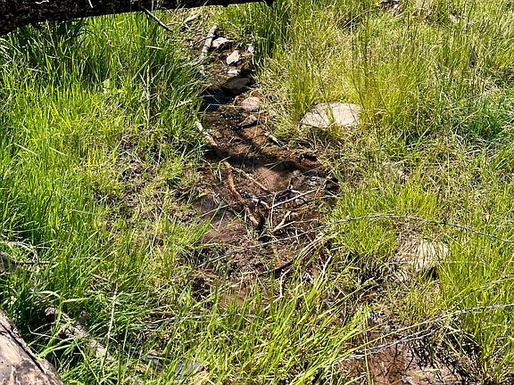 5th image of County Road 442 Lot 20