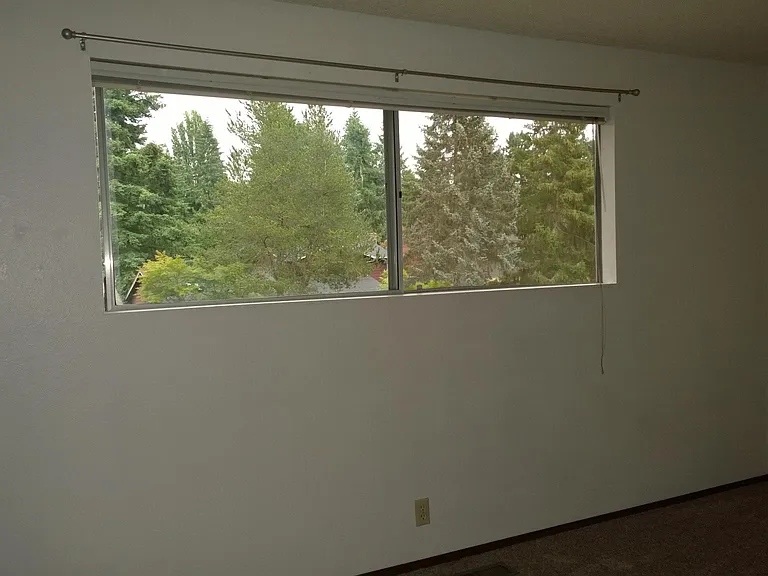 271 146th Pl NE — Photo 10