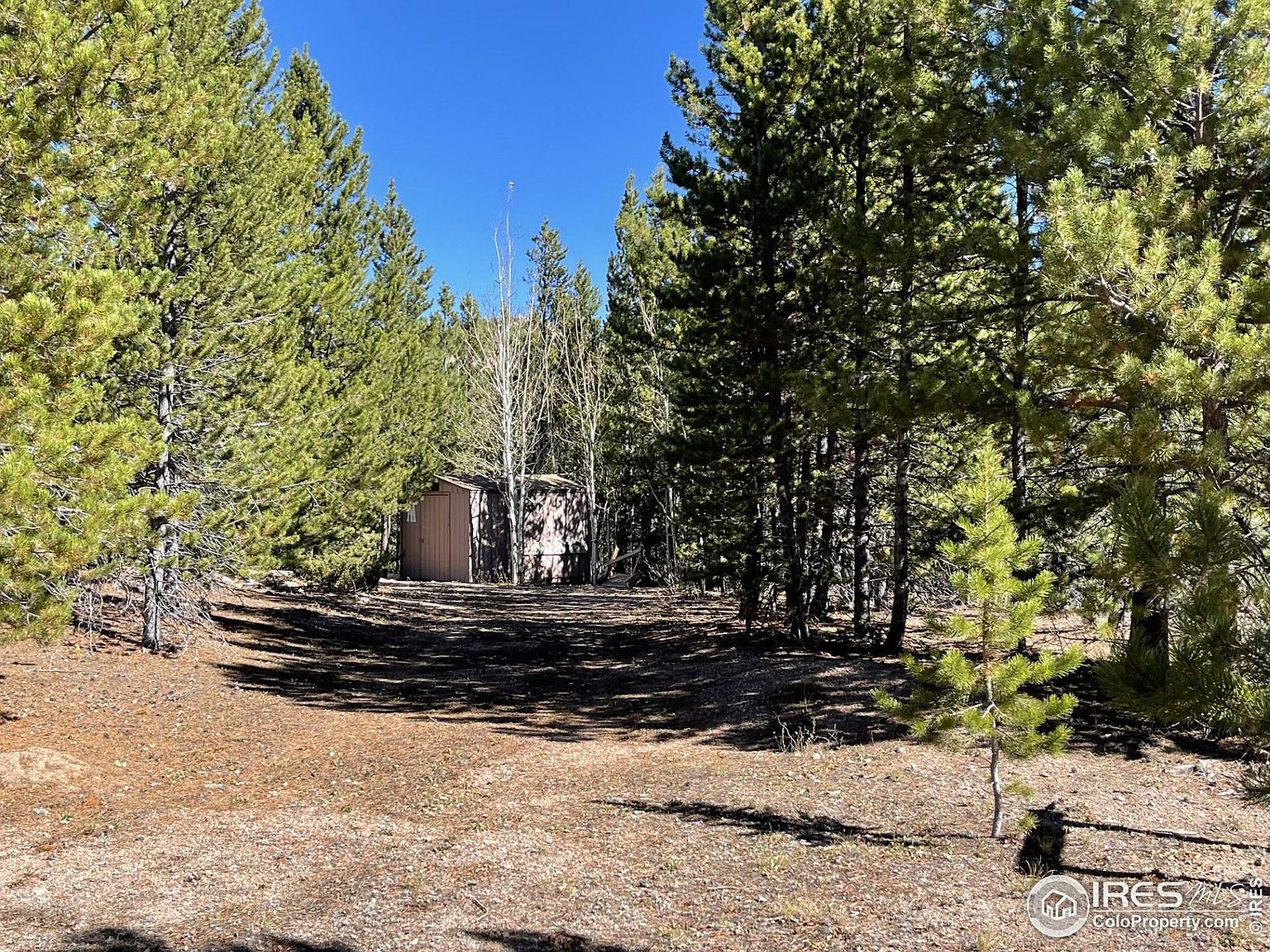497 Mescalero Dr, Red Feather Lakes, CO 80545 MLS 998029 Zillow