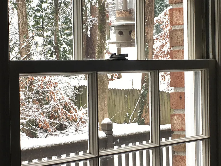 Wintery view while cooking