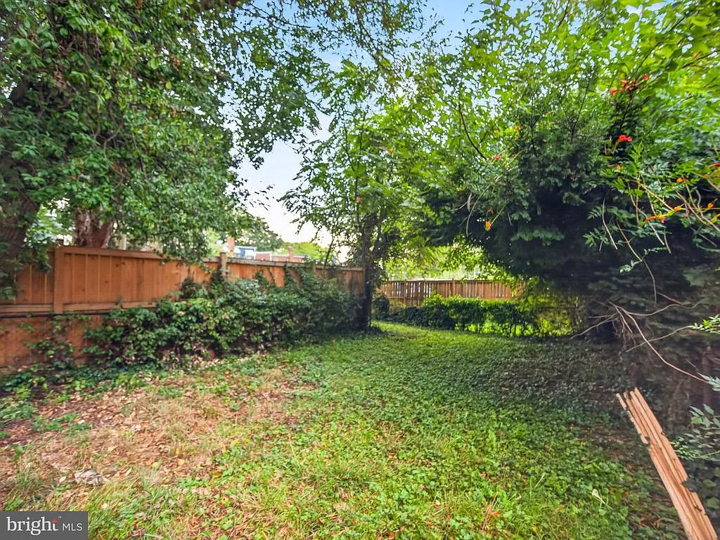 3 bed, 2.0 bath, 1271 sqft, $2,950 — Photo 4