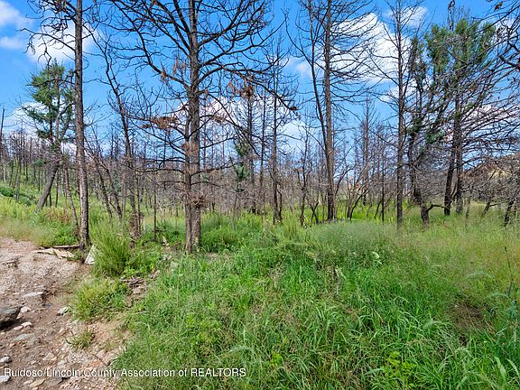 3rd image of 111 Tall Pines Rd