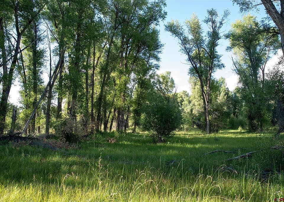1st image of  Kokanee Court