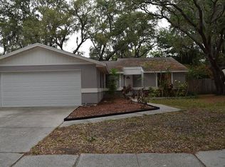 5339 Black Pine Dr, Tampa, FL 33624