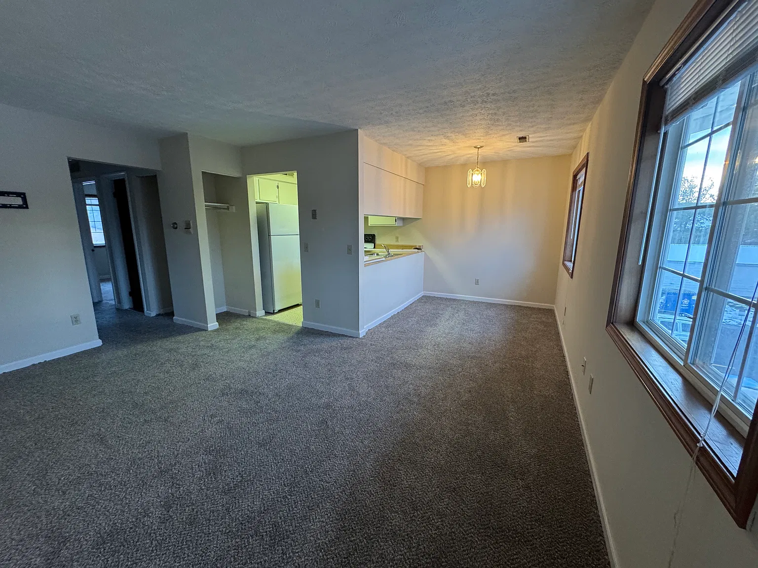 2 bed, 800 sqft, $1,000 — Photo 3