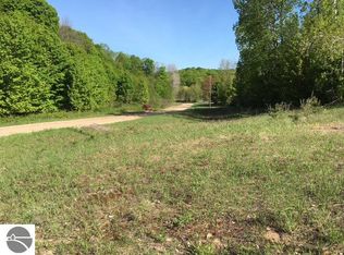 0 Lewin Rd, Bellaire, MI 49615