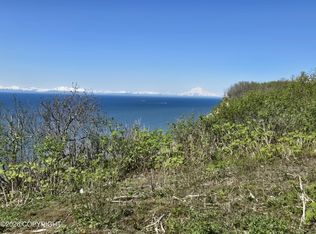 L7 Danver St, Anchor Pt, AK 99556