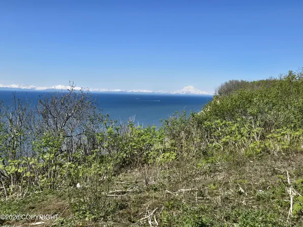L7 Danver St, Anchor Pt, AK 99556