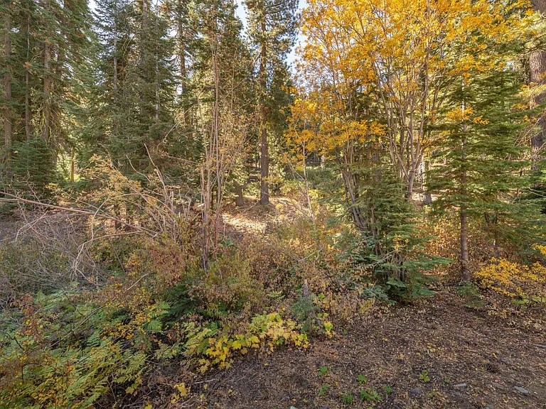 725 Granlibakken Rd #86 — Photo 22