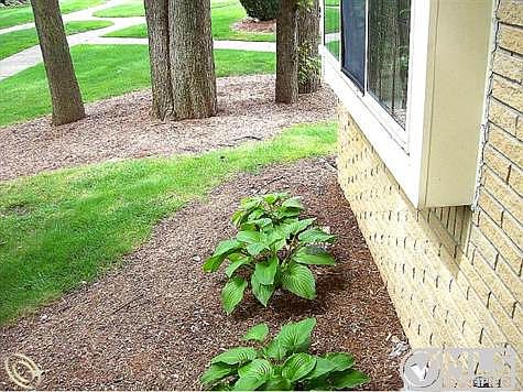 Lahser nice landscaping.jpg