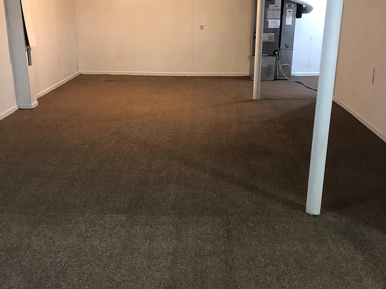 Large Finished Basement