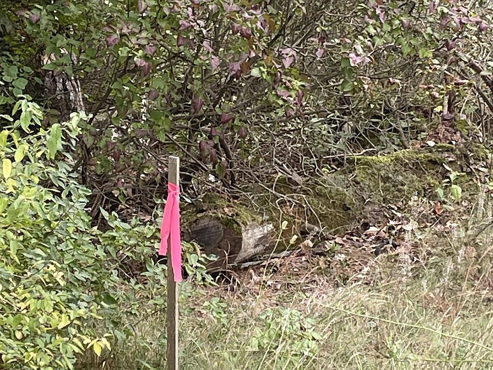 2nd image of 3307 E River Rd