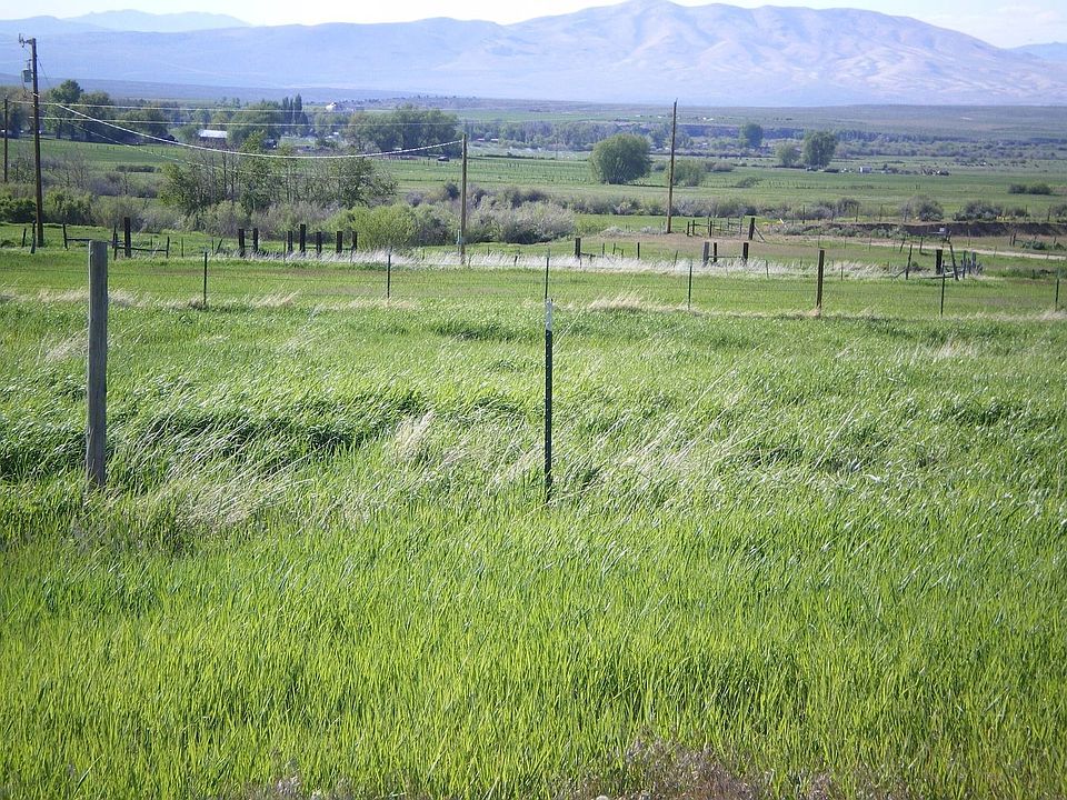 Looking North West
