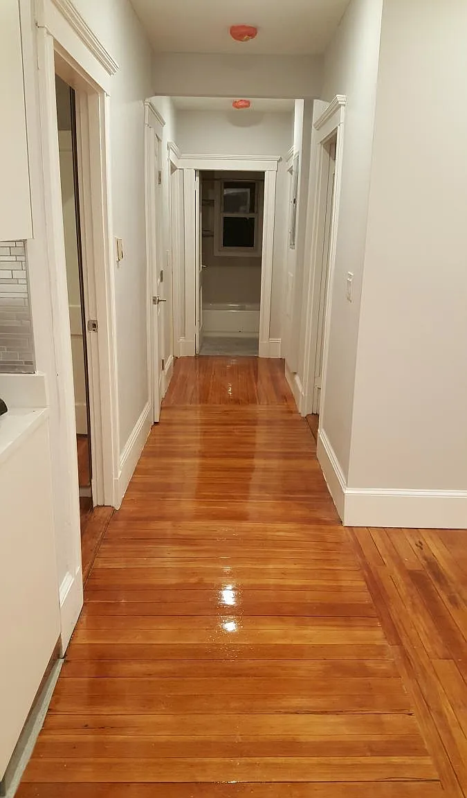 9 Dexter St — Photo 4