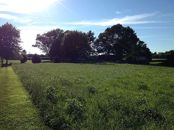 View from back of property