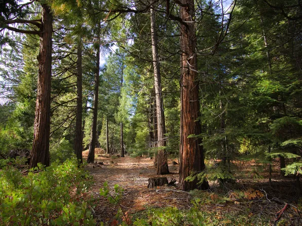 LOT 1 Ritts Mill Rd, Shingletown, CA 96088