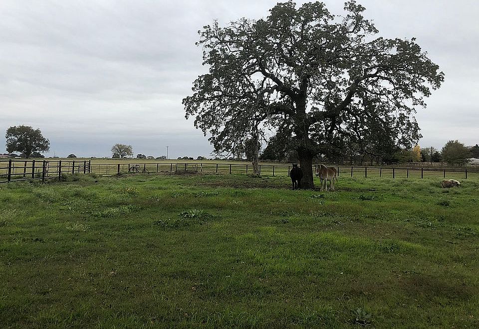 2nd image of 244 Private Road 2654