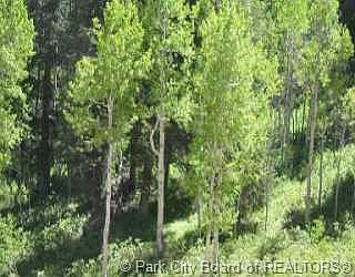 1st image of Interstate Highway 25 Maple Pl #I-25