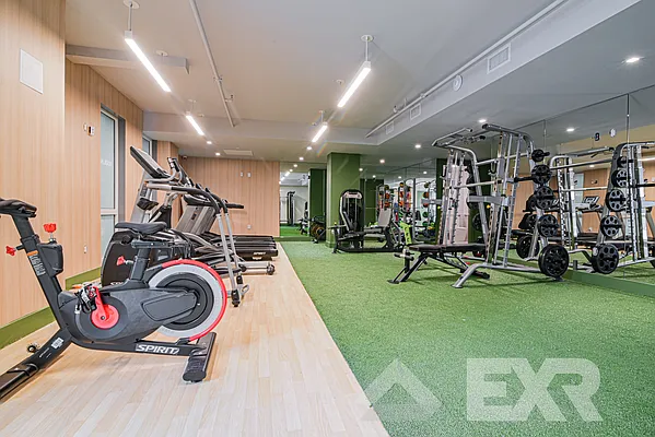 Rented by EXR | media 13