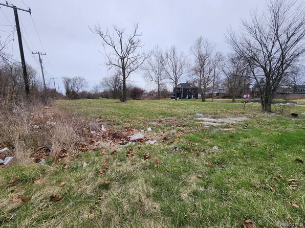 978 Kitchener St, Detroit, MI 48215