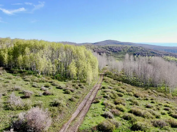Divide Rd, Whitewater, CO 81527