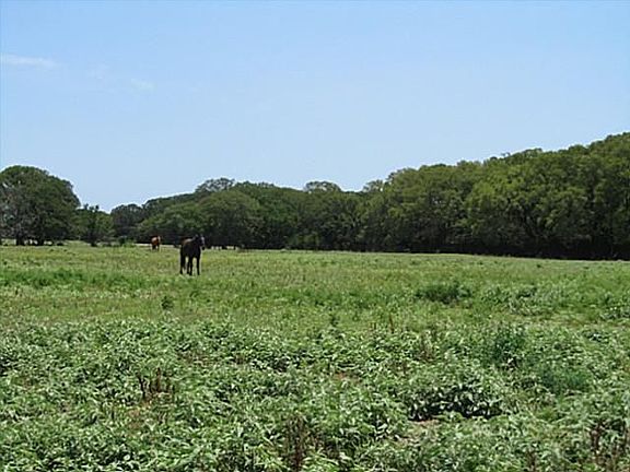 Home for Sale in Scurry, TX $158,000