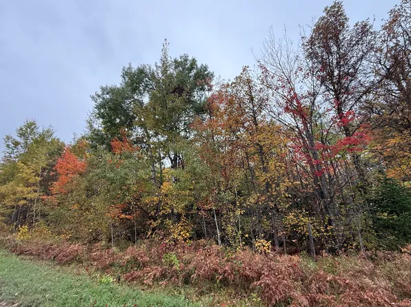 S Ridge Rd, Dafter, MI 49724