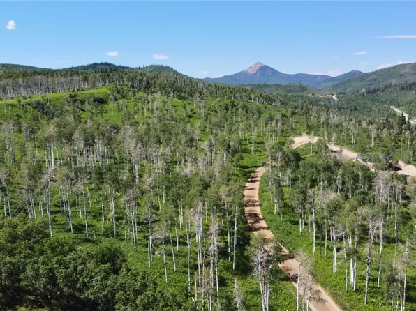 56350 Olive St, Clark, CO 80428