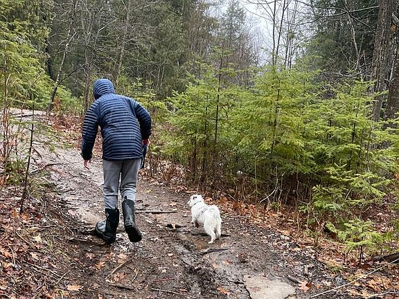 2nd image of 0 Rallison Ln