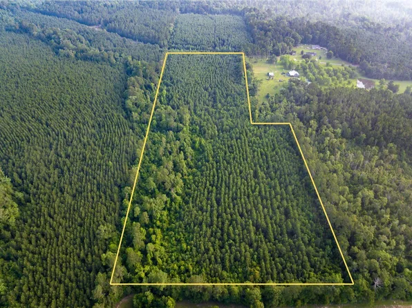 T 2 Dido Loop, Pitkin, LA 70656