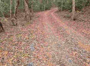 919 Panther Top Rd, Murphy, NC 28906