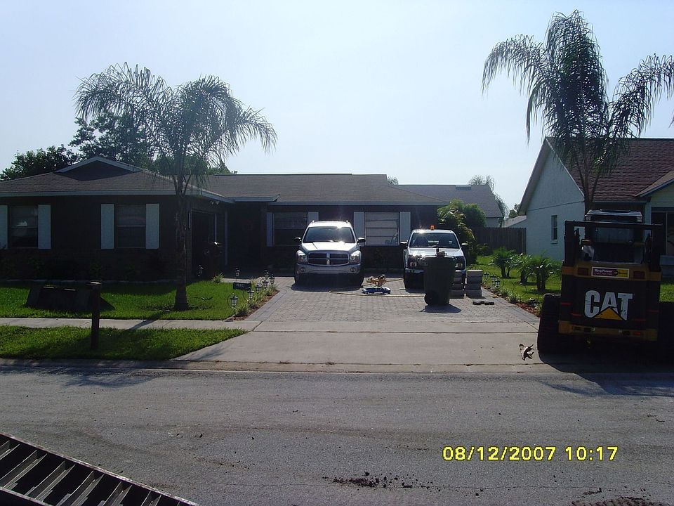 With the new palms