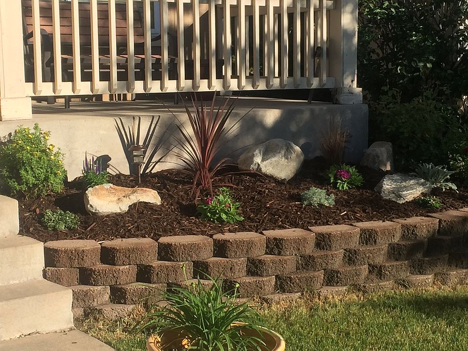 Front in Summer