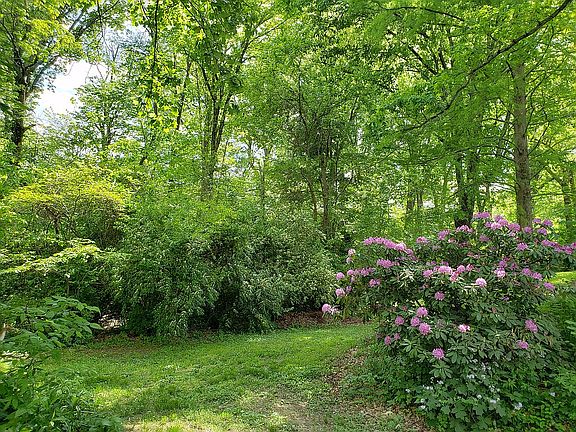 Partial View of Backyard