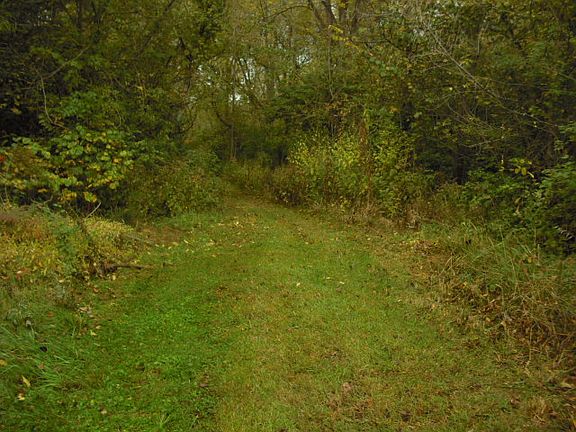 3rd image of Acreage Wooded For Sale Darby Creek Rd