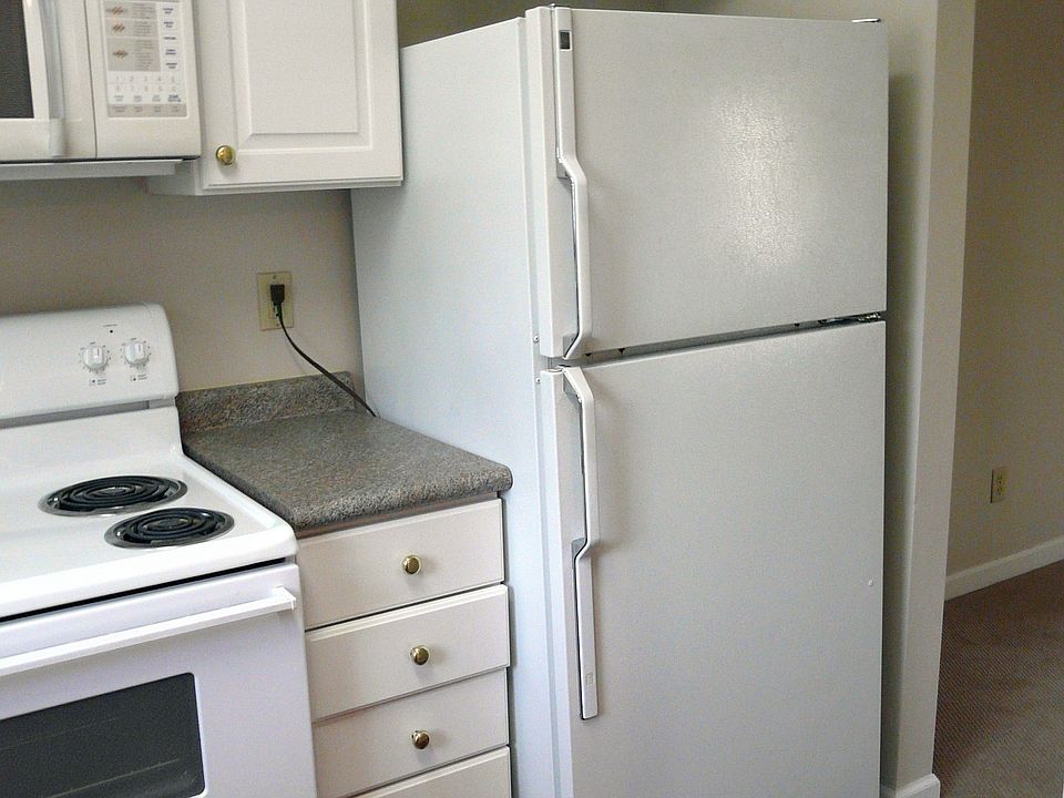 All kitchen appliances furnished